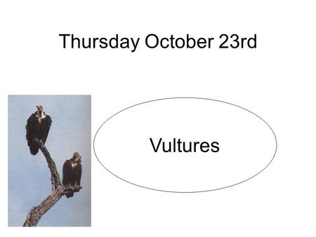 Thursday October 23rd Vultures. Mass grave found at Belsen.