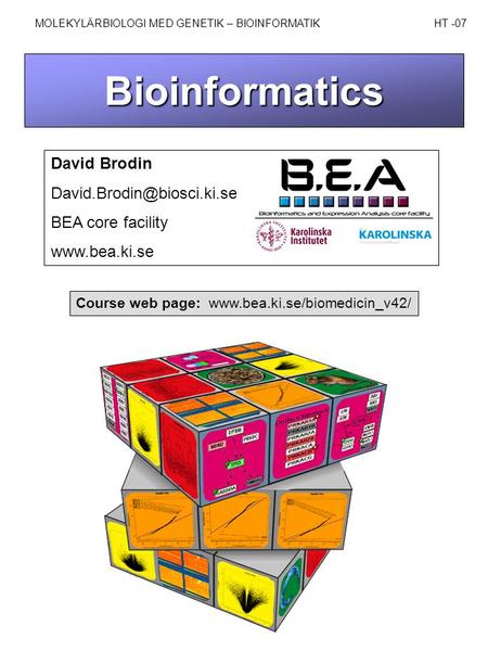 Bioinformatics David Brodin BEA core facility  MOLEKYLÄRBIOLOGI MED GENETIK – BIOINFORMATIK HT -07 Course web page: