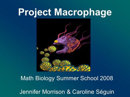 Project Macrophage Math Biology Summer School 2008 Jennifer Morrison & Caroline Séguin.