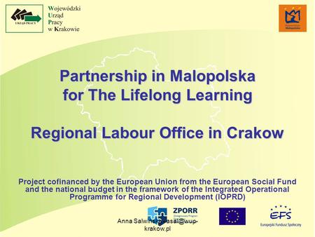 Anna Salwińska - krakow.pl Partnership in Malopolska for The Lifelong Learning Regional Labour Office in Crakow Project cofinanced by the European.