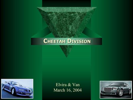 C HEETAH D IVISION Elvira & Van March 16, 2004. Cheetah ROI  ROI –Ratio: Profit Margin Asset Turnover.