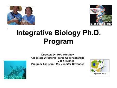 Integrative Biology Ph.D. Program Director: Dr. Rod Murphey Associate Directors: Tanja Godenschwege Colin Hughes Program Assistant: Ms. Jennifer Govender.
