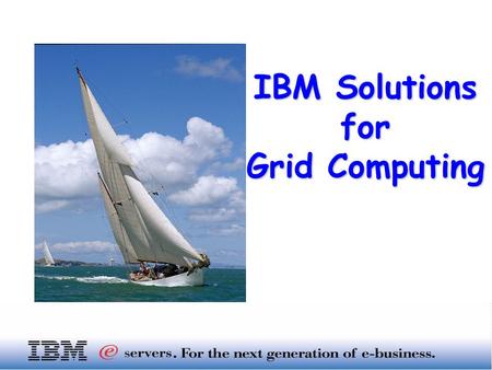 IBM Solutions for Grid Computing. I. IT view on “GRID” II. IBM and GRID III. IBM Storage and GRID Index …