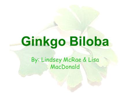 Ginkgo Biloba By: Lindsey McRae & Lisa MacDonald.