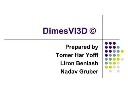 DimesVI3D © Prepared by Tomer Har Yoffi Liron Beniash Nadav Gruber.