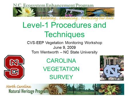 Level-1 Procedures and Techniques CVS-EEP Vegetation Monitoring Workshop June 9, 2009 Tom Wentworth – NC State University CAROLINA VEGETATION SURVEY.