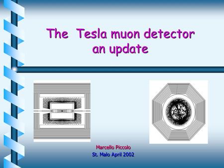 The Tesla muon detector an update Marcello Piccolo St. Malo April 2002.