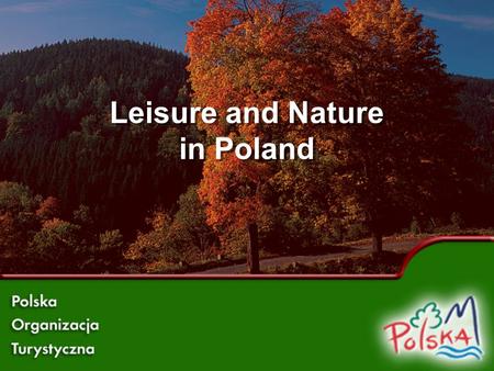 Leisure and Nature in Poland.  Nature in Poland is preserved in its original state.  Forests cover 29% of the country. Forests in Poland.