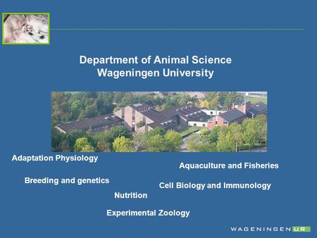 Breeding and genetics Nutrition Aquaculture and Fisheries Adaptation Physiology Cell Biology and Immunology Experimental Zoology Department of Animal Science.