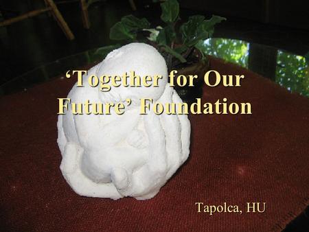 ‘Together for Our Future’ Foundation Tapolca, HU.