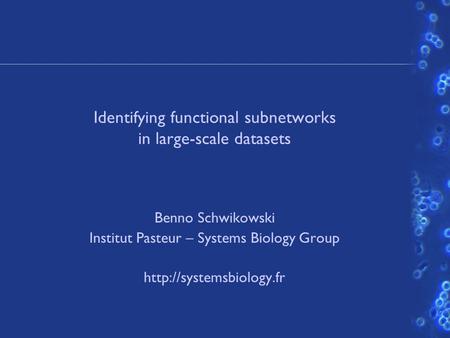 Identifying functional subnetworks in large-scale datasets Benno Schwikowski Institut Pasteur – Systems Biology Group