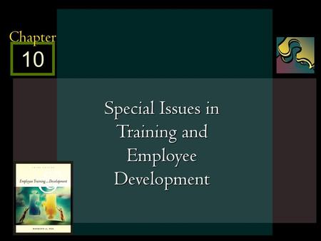 Special Issues in Training and Employee Development