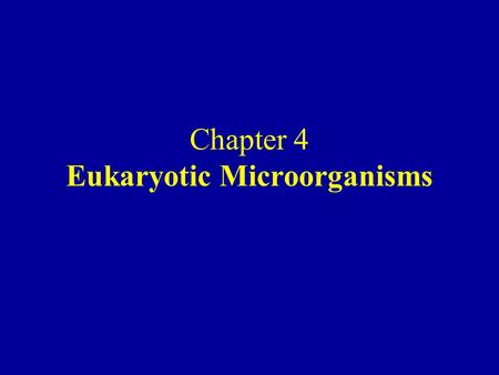 Chapter 4 Eukaryotic Microorganisms