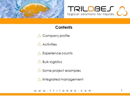 1 Contents Company profile Activities Experience counts Bulk logistics Some project examples Integrated management.