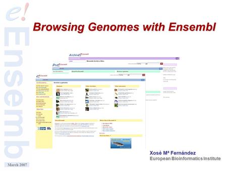 April 2006 March 2007 Xosé Mª Fernández European Bioinformatics Institute Browsing Genomes with Ensembl.