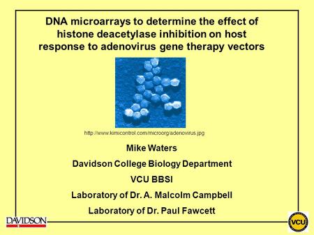 DNA microarrays to determine the effect of histone deacetylase inhibition on host response to adenovirus gene therapy vectors http://www.kimicontrol.com/microorg/adenovirus.jpg.