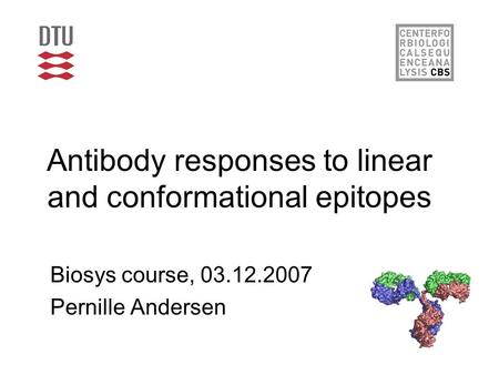 Antibody responses to linear and conformational epitopes Biosys course, 03.12.2007 Pernille Andersen.