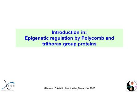 Cavalli Lab Introduction in: Epigenetic regulation by Polycomb and trithorax group proteins Giacomo CAVALLI. Montpellier, December 2006.