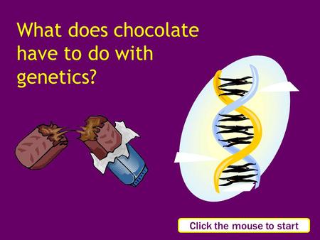 What does chocolate have to do with genetics? Click the mouse to start.