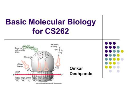 Basic Molecular Biology for CS262 Omkar Deshpande.