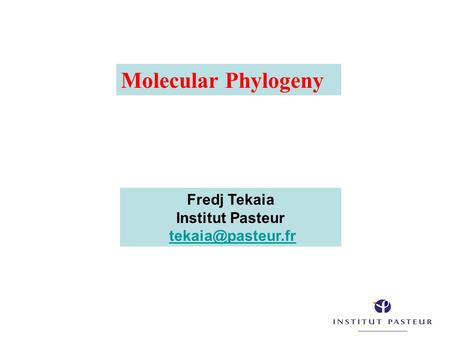 Molecular Phylogeny Fredj Tekaia Institut Pasteur tekaia@pasteur.fr.
