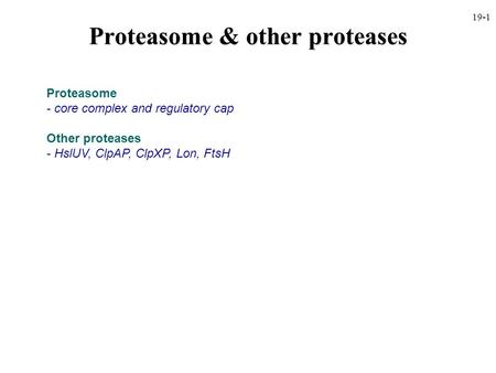 Proteasome & other proteases Proteasome - core complex and regulatory cap Other proteases - HslUV, ClpAP, ClpXP, Lon, FtsH 19-1.