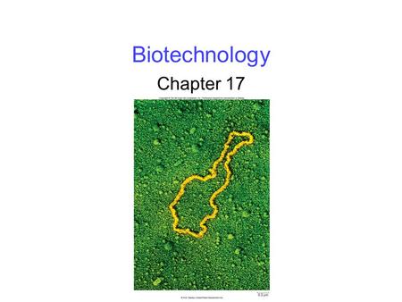 Biotechnology Chapter 17. 2 DNA Manipulation The molecular biology revolution started with the discovery of restriction endonucleases -Enzymes that cleave.