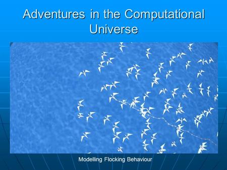 Adventures in the Computational Universe Modelling Flocking Behaviour.