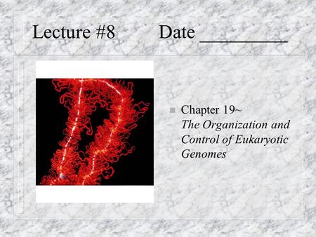 Lecture #8Date _________ n Chapter 19~ The Organization and Control of Eukaryotic Genomes.