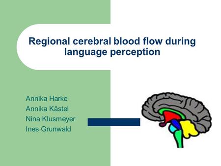 Regional cerebral blood flow during language perception Annika Harke Annika Kästel Nina Klusmeyer Ines Grunwald.