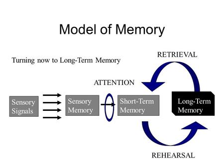 Model of Memory Turning now to Long-Term Memory Sensory Signals Sensory Memory Short-Term Memory Long-Term Memory ATTENTION REHEARSAL RETRIEVAL.