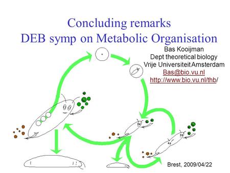 Concluding remarks DEB symp on Metabolic Organisation Bas Kooijman Dept theoretical biology Vrije Universiteit Amsterdam