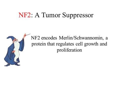 NF2: A Tumor Suppressor NF2 encodes Merlin/Schwannomin, a protein that regulates cell growth and proliferation.