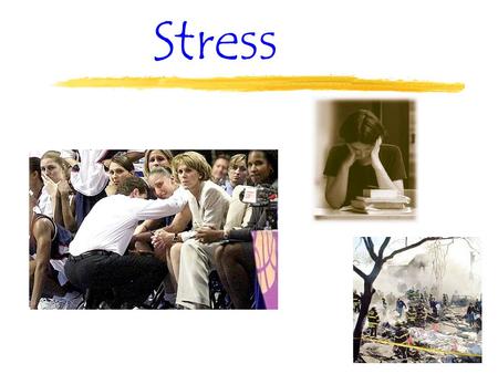 Stress What Is Stress? zYour definition… zStimulus or Response? Or interaction? yStressor — (stimulus) event or situation that triggers coping adjustments.