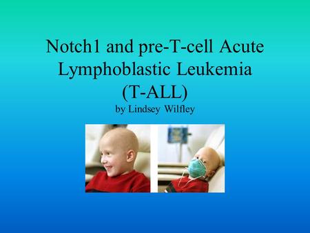 Notch1 and pre-T-cell Acute Lymphoblastic Leukemia (T-ALL) by Lindsey Wilfley.