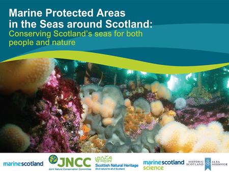 Marine Protected Areas in Scotland’s Seas Ecological data workshop David Mallon Marine Environment Branch Marine Scotland.