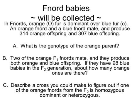 Fnord babies ~ will be collected ~ In Fnords, orange (O) fur is dominant over blue fur (o). An orange fnord and a blue fnord mate, and produce 314 orange.