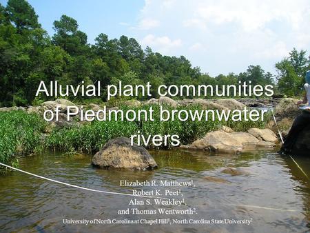 Alluvial plant communities of Piedmont brownwater rivers Elizabeth R. Matthews 1, Robert K. Peet 1, Alan S. Weakley 1, and Thomas Wentworth 2. University.