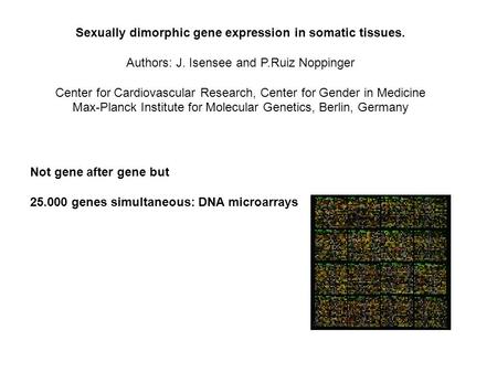 Sexually dimorphic gene expression in somatic tissues. Authors: J. Isensee and P.Ruiz Noppinger Center for Cardiovascular Research, Center for Gender in.
