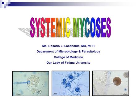 SYSTEMIC MYCOSES Ma. Rosario L. Lacandula, MD, MPH