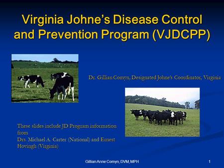 1Gillian Anne Comyn, DVM, MPH Virginia Johne’s Disease Control and Prevention Program (VJDCPP) These slides include JD Program information from Drs. Ernest.