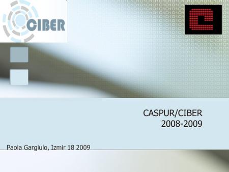 CASPUR/CIBER 2008-2009 Paola Gargiulo, Izmir 18 2009.