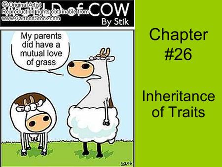 Chapter #26 Inheritance of Traits.