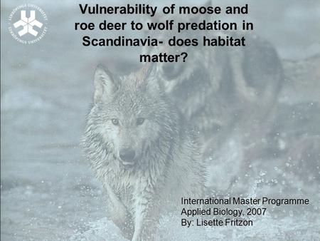 Vulnerability of moose and roe deer to wolf predation in Scandinavia- does habitat matter? International Master Programme Applied Biology, 2007 By: Lisette.