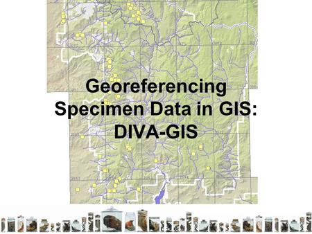 Georeferencing Specimen Data in GIS: DIVA-GIS