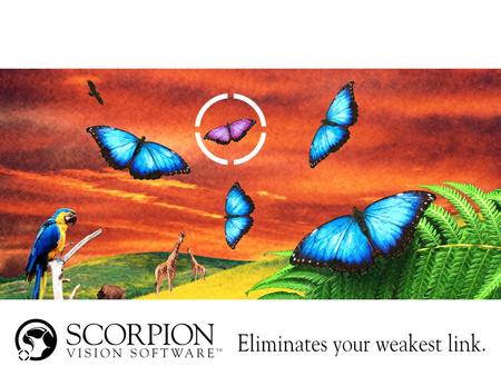 Scorpion Vision Software Product Overview Version 4.0 June 2004.