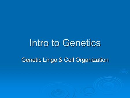 Intro to Genetics Genetic Lingo & Cell Organization.