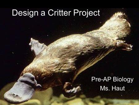Design a Critter Project Pre-AP Biology Ms. Haut.