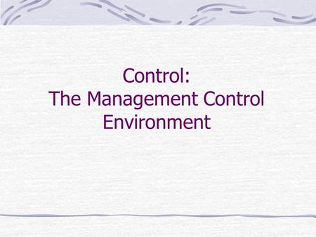 Control: The Management Control Environment