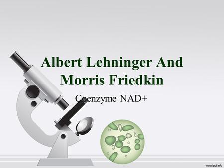 Albert Lehninger And Morris Friedkin